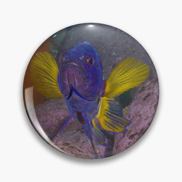 Item preview, Skillion eastern blue devil designed and sold by Matt-Dowse.