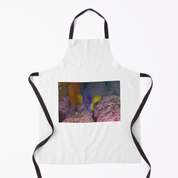 Item preview, Skillion eastern blue devil designed and sold by Matt-Dowse.