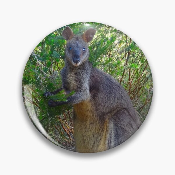 Item preview, The Swamp Wallaby designed and sold by Mickangelhere.