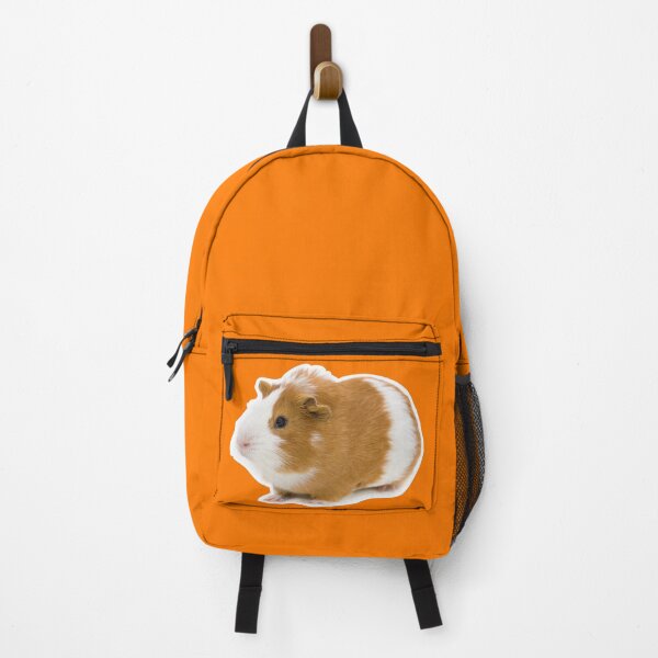 guinea pig backpack