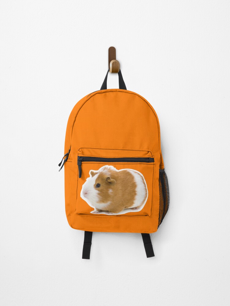 guinea pig backpack