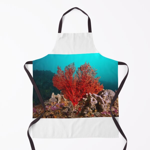 Item preview, Spoon Reef Coral designed and sold by Matt-Dowse.