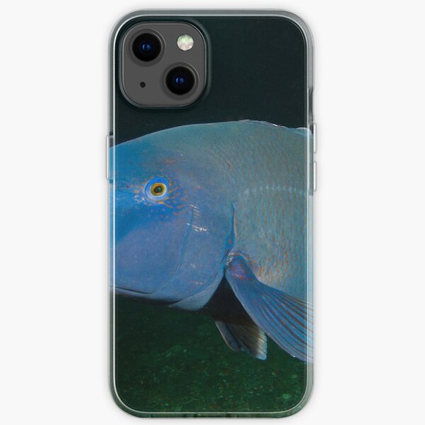 Skillion Cave Terrigal Grouper iPhone Soft Case