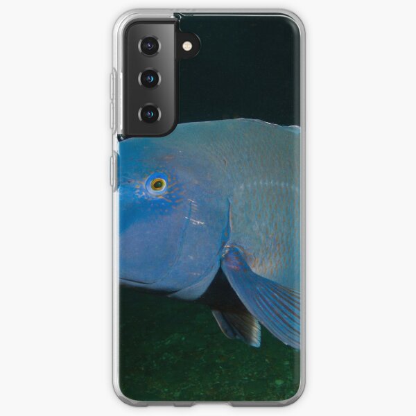Skillion Cave Terrigal Grouper Samsung Galaxy Soft Case