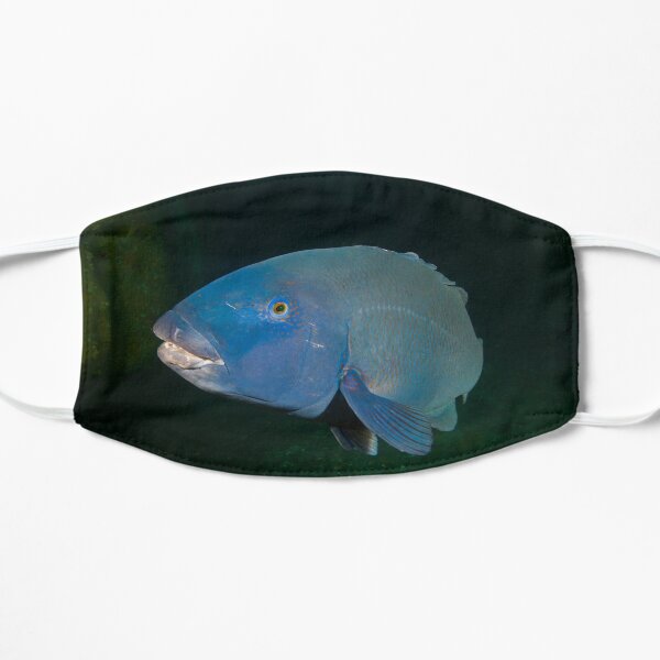 Skillion Cave Terrigal Grouper Flat Mask