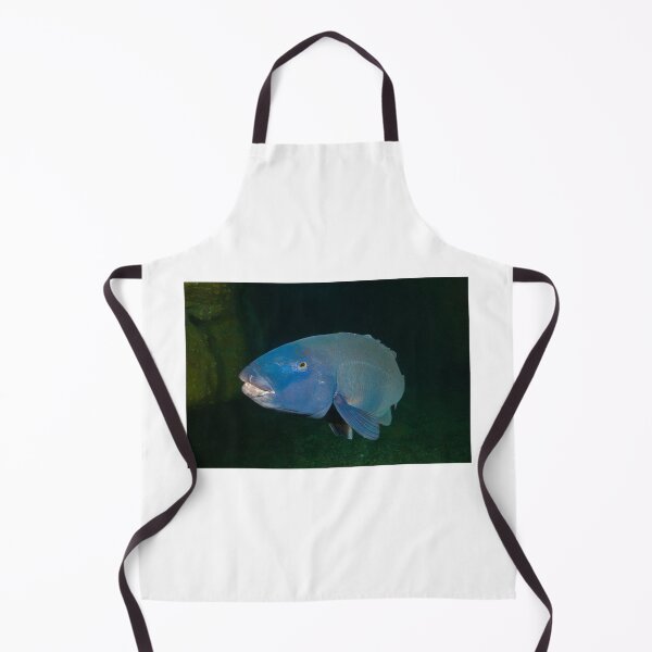 Item preview, Skillion Cave Terrigal Grouper designed and sold by Matt-Dowse.