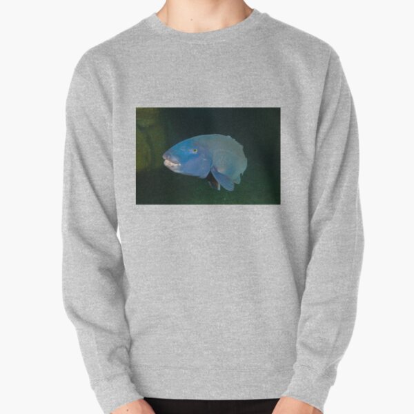 Skillion Cave Terrigal Grouper Pullover Sweatshirt