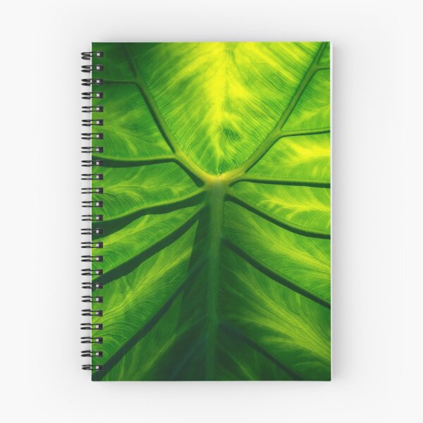 Item preview, Hidden Beauty - Underneath an Intricate Giant Tropical Leaf designed and sold by Georgia Mizuleva.