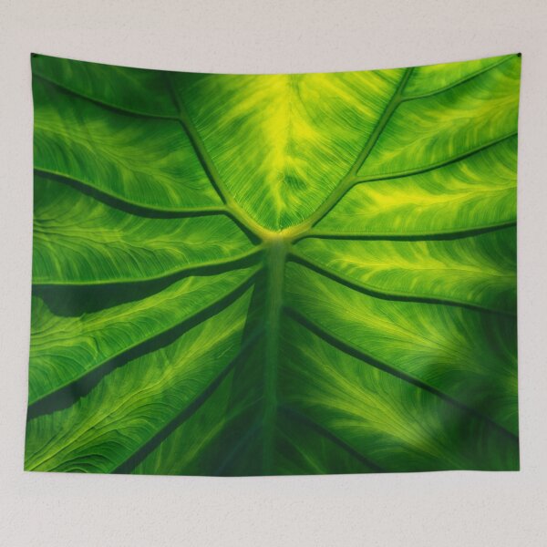 Item preview, Hidden Beauty - Underneath an Intricate Giant Tropical Leaf designed and sold by Georgia Mizuleva.