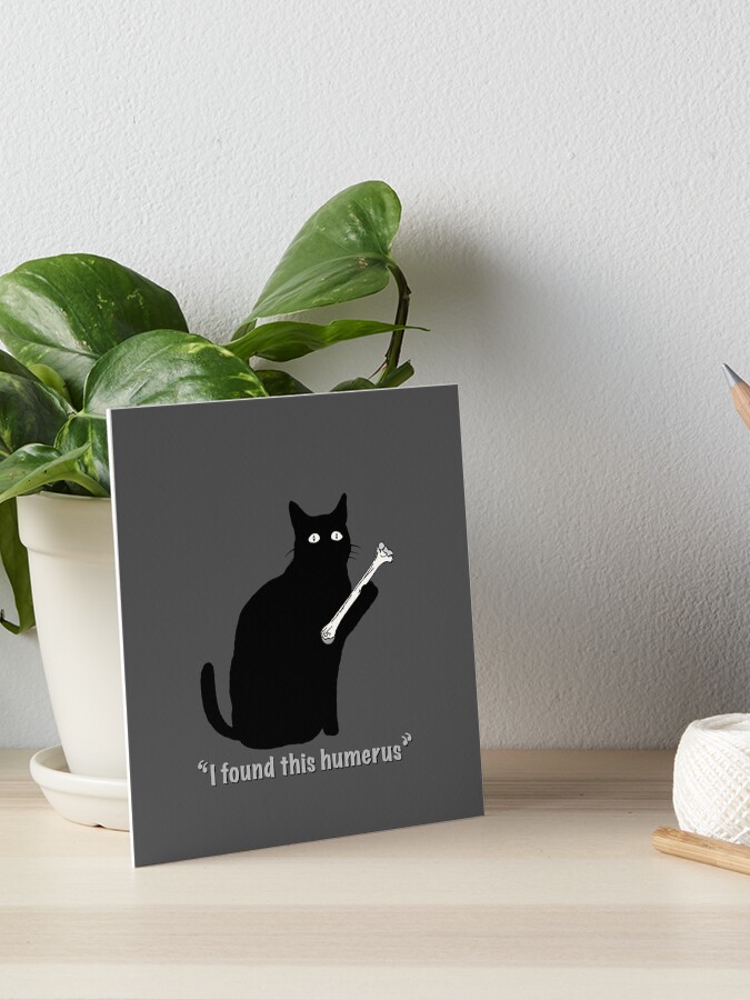 cat i found this humerus