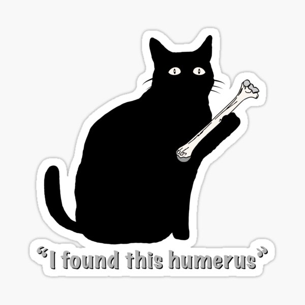 i found this humerus cat