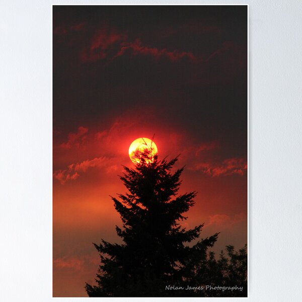 Red Sun Poster