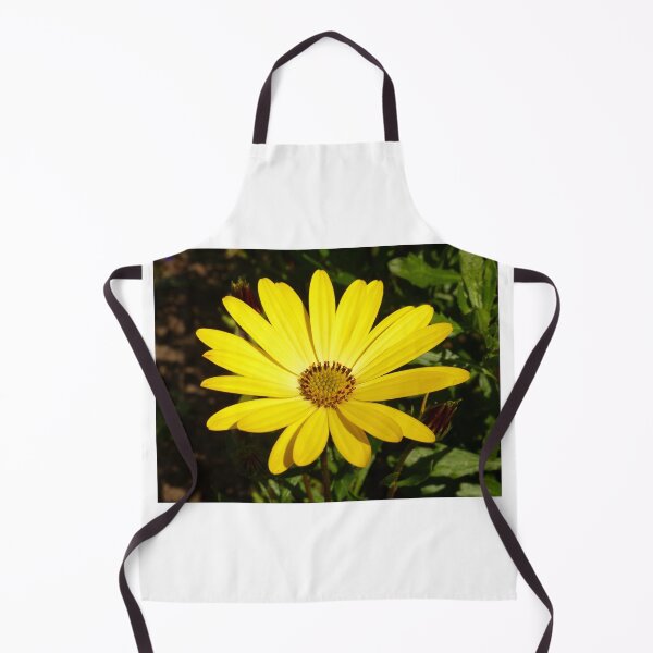 Item preview, Osteospermum designed and sold by Chris Petty.