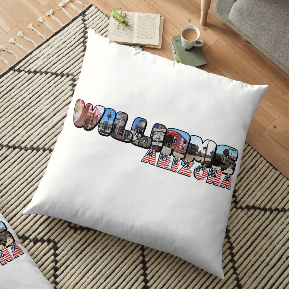 Williams Arizona Big Letter Floor Pillow