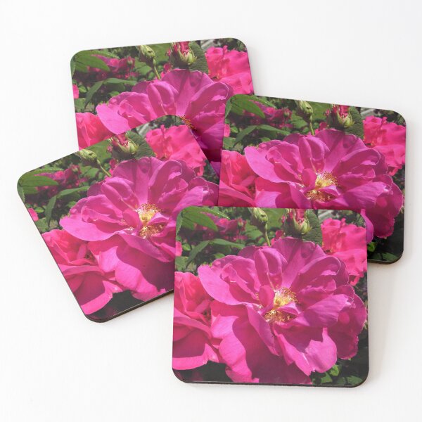 Item preview, Vibrant Pink Rose - Rosa Gallica Officinalis (Shrub Rose) designed and sold by GoNatureDesigns.