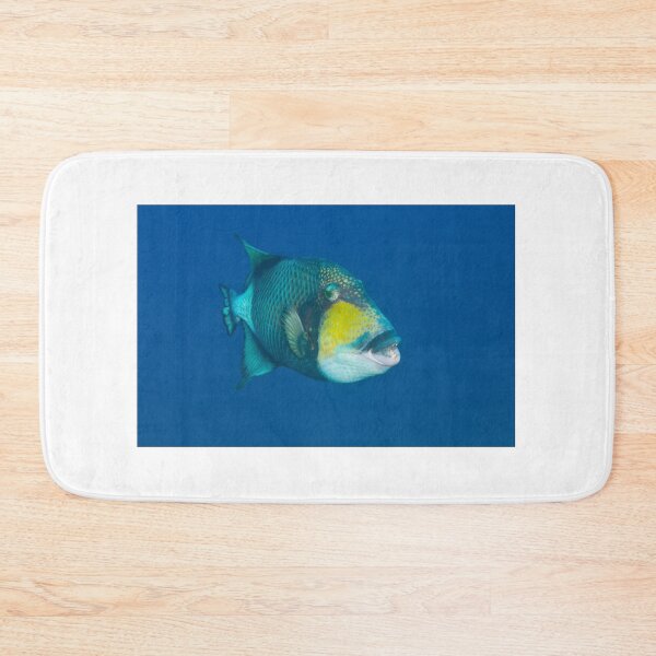 Item preview, Hideaway Titan-Triggerfish  designed and sold by Matt-Dowse.