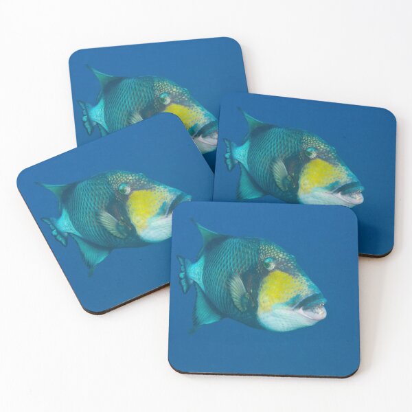 Item preview, Hideaway Titan-Triggerfish  designed and sold by Matt-Dowse.