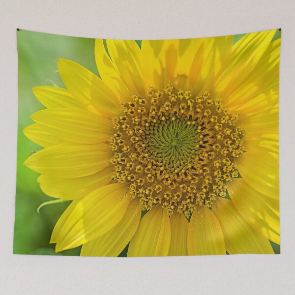 Item preview, Close Up Sunny Sunflower designed and sold by Shelly Gunderson.