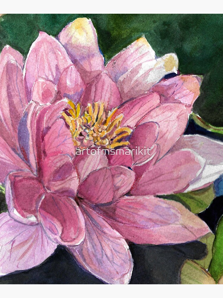 Water Lily by artofmsmarikit