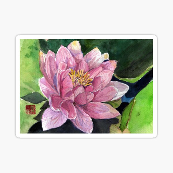 Water Lily Sticker