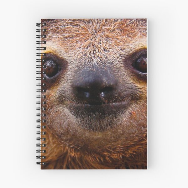 Item preview, Sloth designed and sold by Cheesy06.