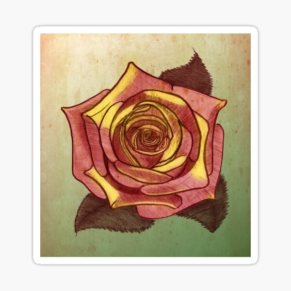 Red roses petals heart Metal Print for Sale by Flowersforbear