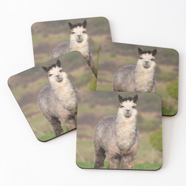Item preview, Alpaca Standing Looking to Camera designed and sold by acceleratorhams.