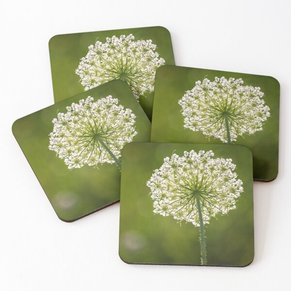 Item preview, Artistic Queen Ann's Lace Wildflower View designed and sold by Shelly Gunderson.