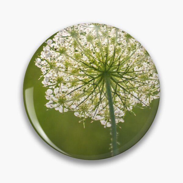 Item preview, Artistic Queen Ann's Lace Wildflower View designed and sold by Shelly Gunderson.