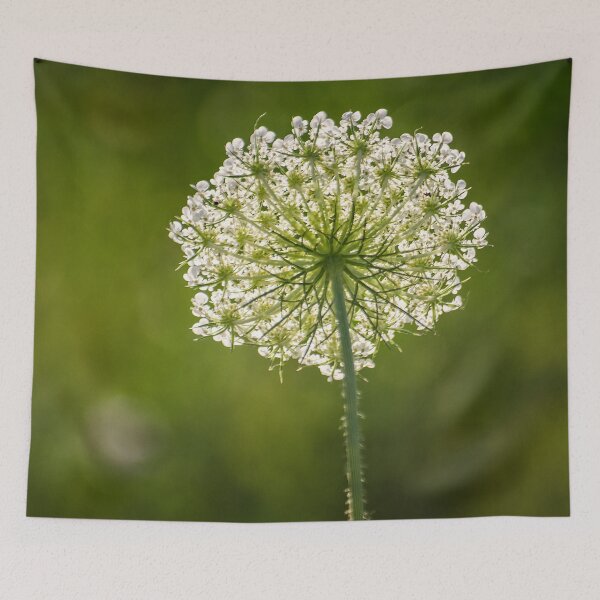 Item preview, Artistic Queen Ann's Lace Wildflower View designed and sold by Shelly Gunderson.