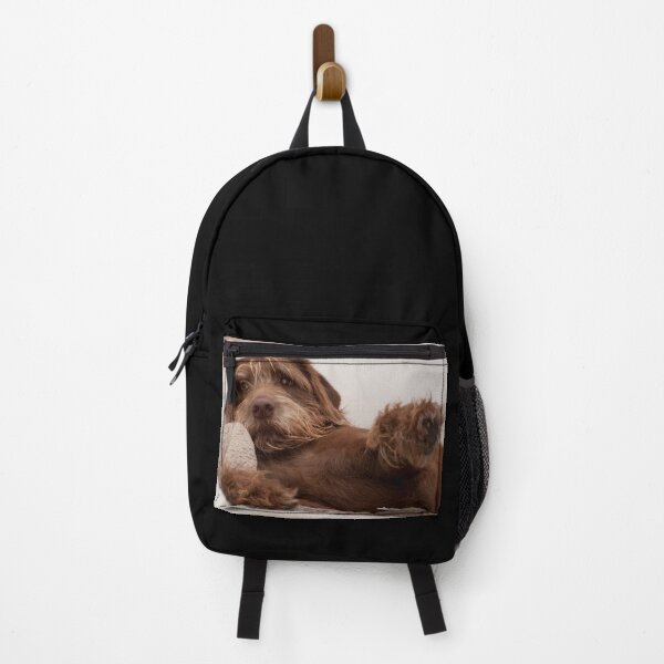 Item preview, Cuddling Dog designed and sold by AM-Photographer.