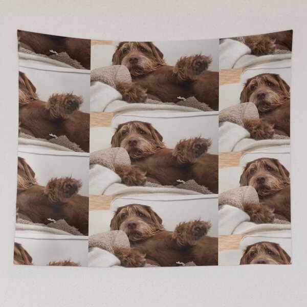 Item preview, Cuddling Dog designed and sold by AM-Photographer.