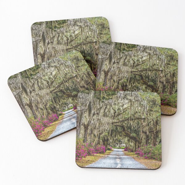 Item preview, Azaleas and Spanish Moss designed and sold by GestaltImagery.