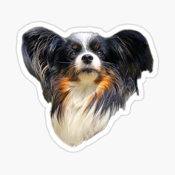 FUSTMW Papillon Dog Keychain Papillon Gifts for Papillon Lovers Dog Owners  Gifts Papillon Dog Mom Dad Gifts Pet Rescue Gifts