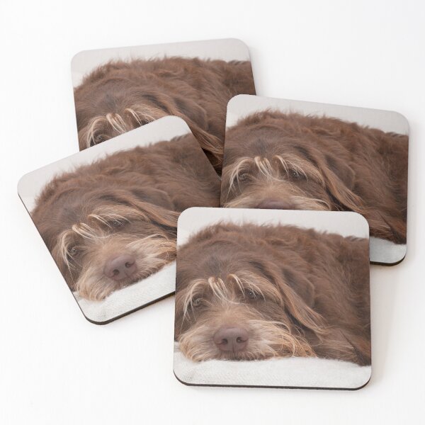 Item preview, Labradoodle Dog designed and sold by AM-Photographer.