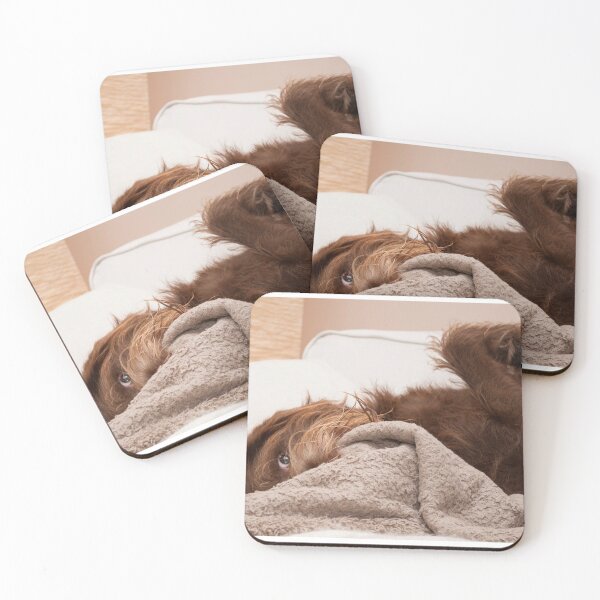 Item preview, Cute Labradoodle  designed and sold by AM-Photographer.