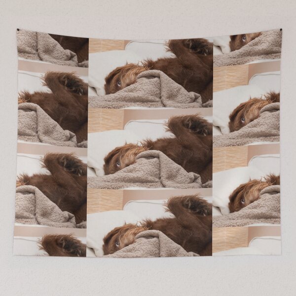 Item preview, Cute Labradoodle  designed and sold by AM-Photographer.