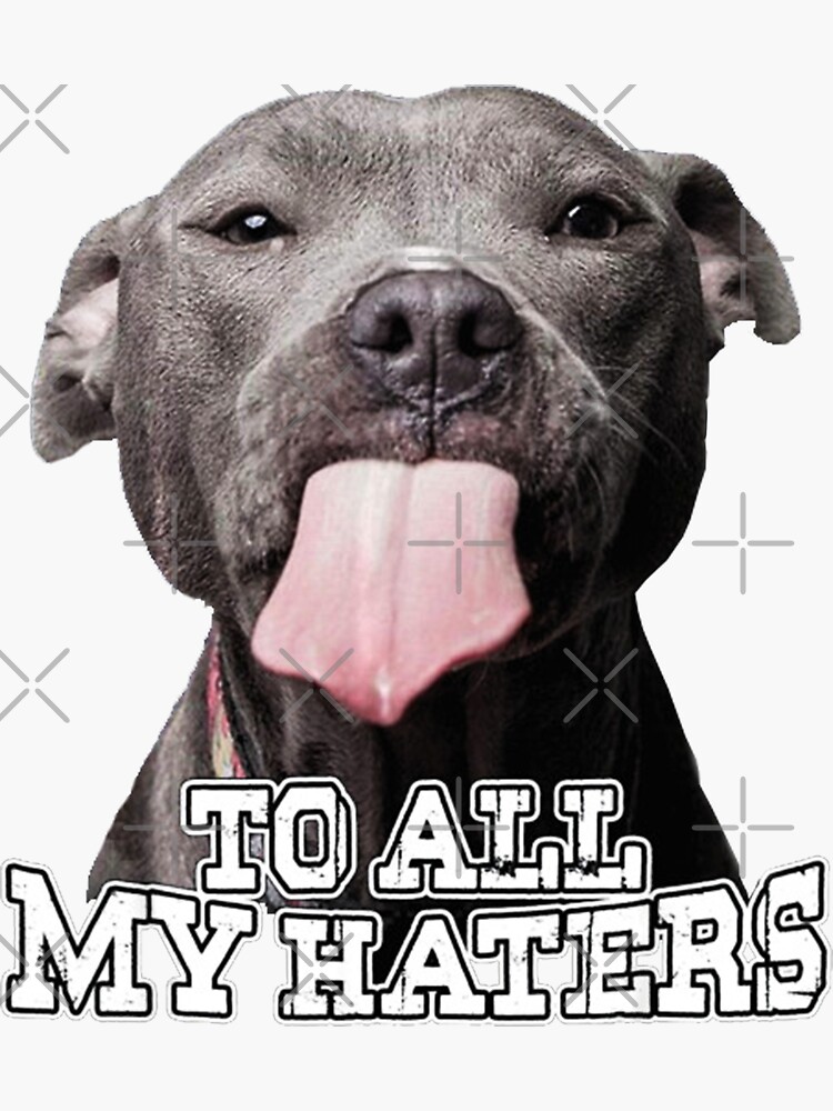 To All My Haters Funny Gift by blisschimp