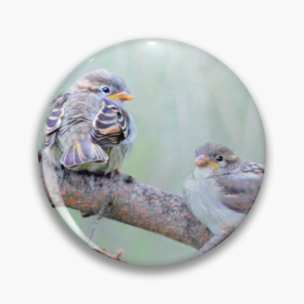 Item preview, Sparrow fledglings designed and sold by Laurie Minor.