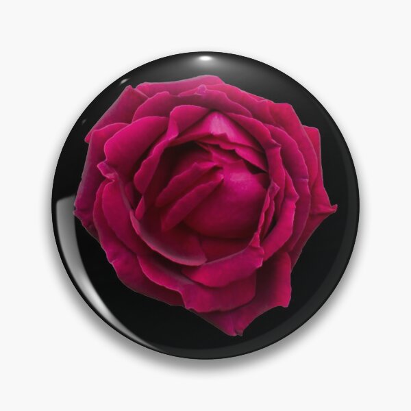 Item preview, England and Lancashire Red Rose designed and sold by PicsByTony.
