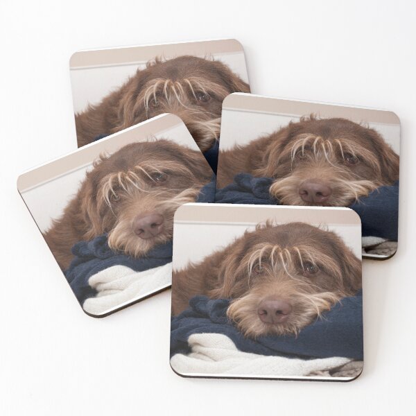 Item preview, Cuddly Labradoodle Dog designed and sold by AM-Photographer.