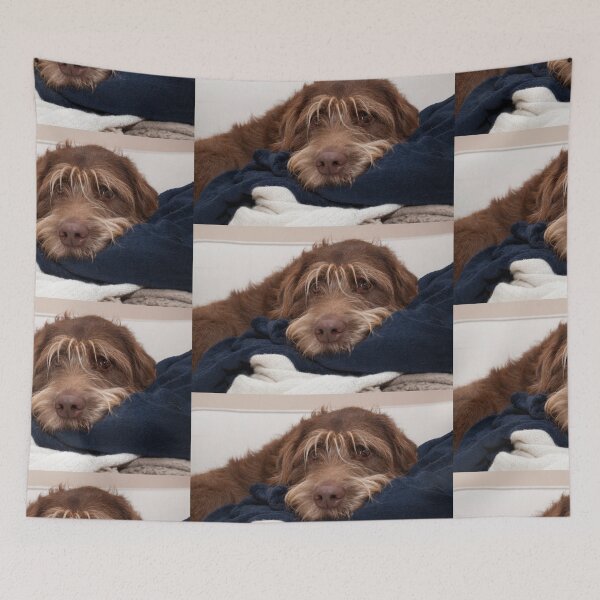 Item preview, Cuddly Labradoodle Dog designed and sold by AM-Photographer.
