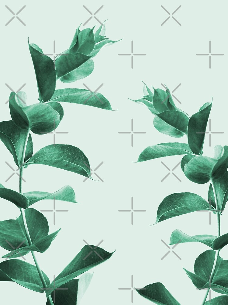 Eucalyptus green by ColorsHappiness