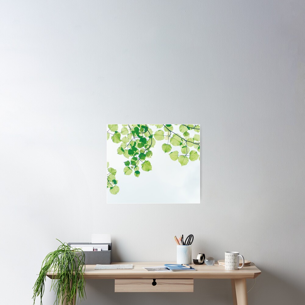 Summer leaves Poster