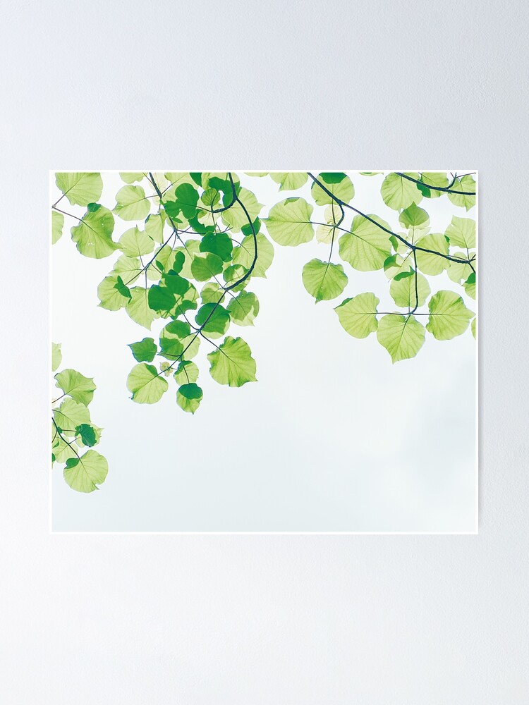 Alternate view of Summer leaves Poster