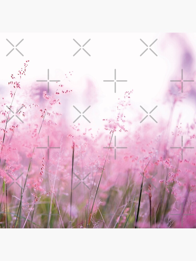 Pink summer field by ColorsHappiness