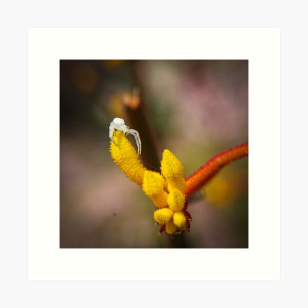 Incy wincy spider Art Print