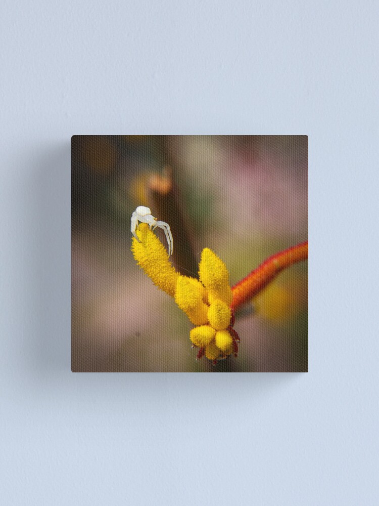 Alternate view of Incy wincy spider Canvas Print