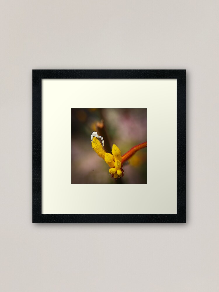 Alternate view of Incy wincy spider Framed Art Print