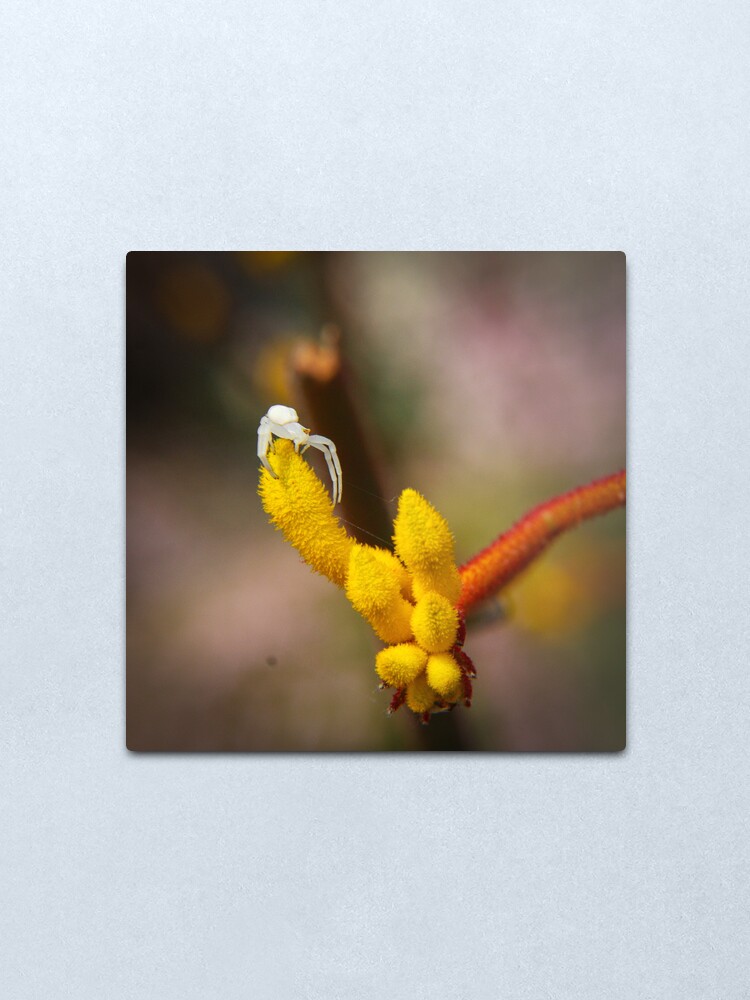 Alternate view of Incy wincy spider Metal Print